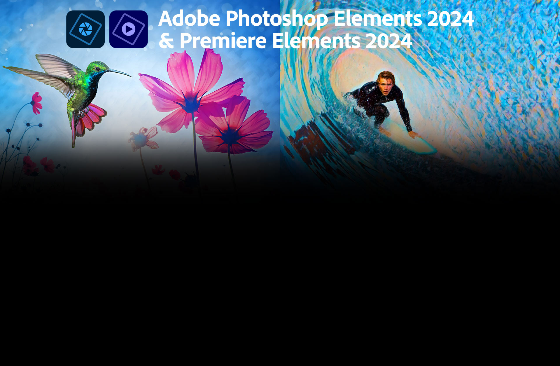 Adobe Photoshop Elements 2024 & Adobe Premiere Elements 2024 (Windows) 