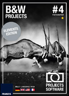 BLACK & WHITE projects 4 elements